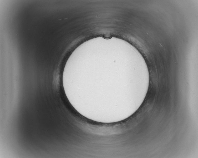 X0000101460016200807281008