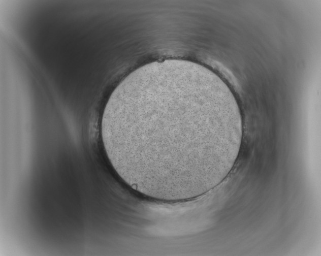 X0000101460017200807281008