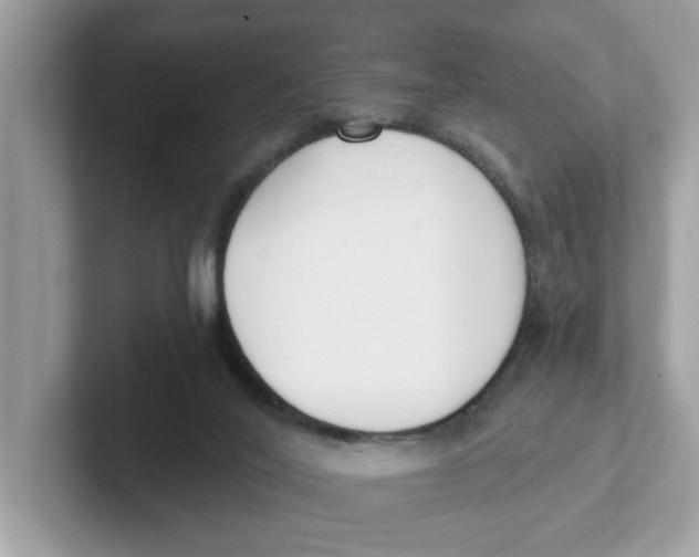 X0000101460020200807281008