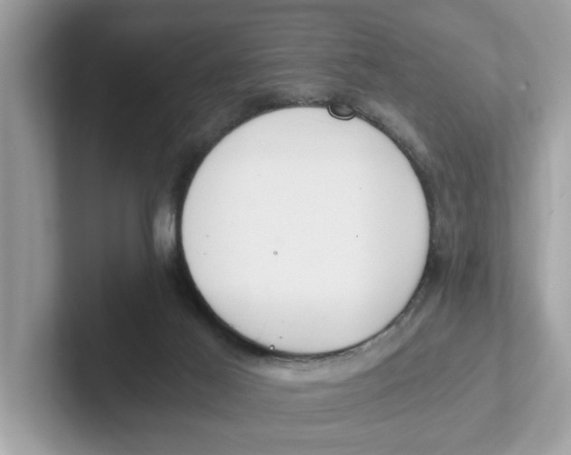 X0000101460021200807281008