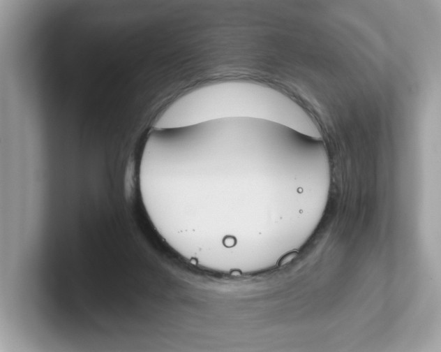 X0000101460024200807281008