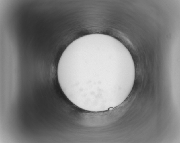 X0000101460025200807281008