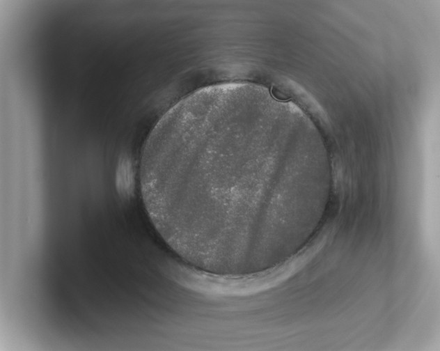 X0000101460026200807281008