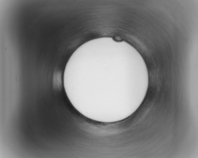 X0000101460028200807281008