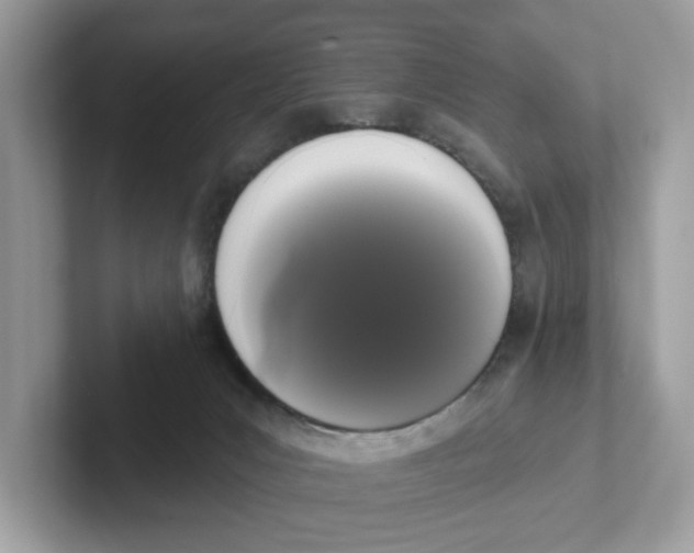 X0000101460031200807281008