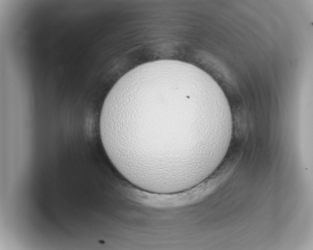 X0000101460034200807281008