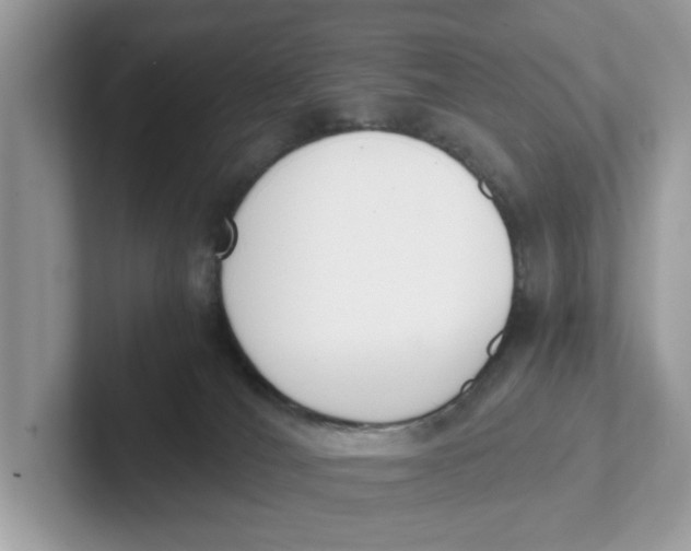 X0000101460036200807281008