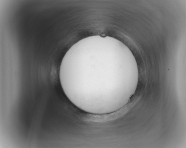 X0000101460037200807281008