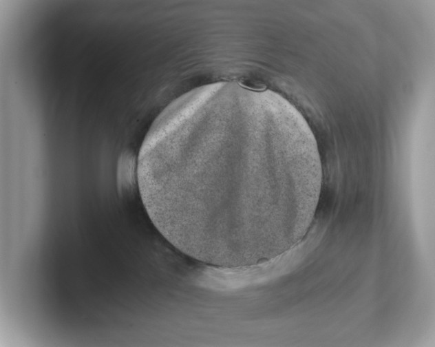 X0000101460041200807281008