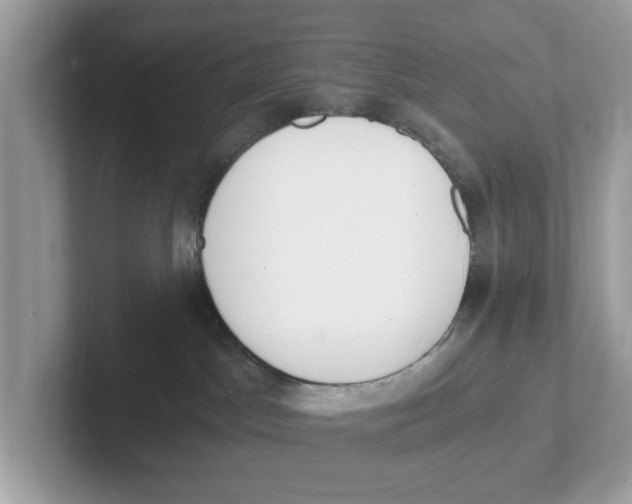 X0000101460045200807281008