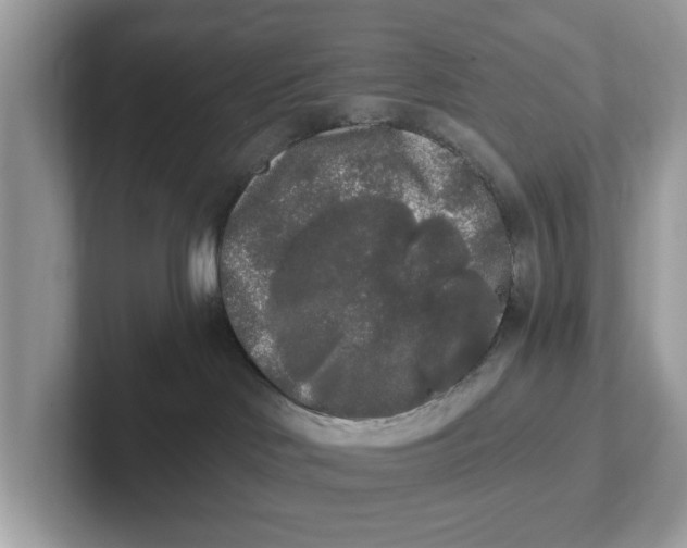 X0000101460046200807281008