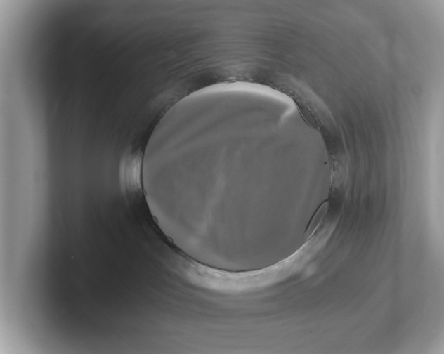 X0000101460047200807281008