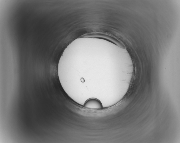 X0000101460048200807281008