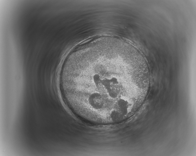 X0000101460049200807281007