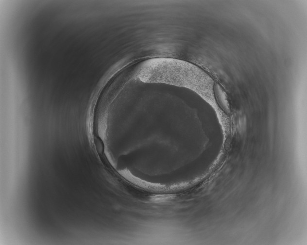 X0000101460051200807281007