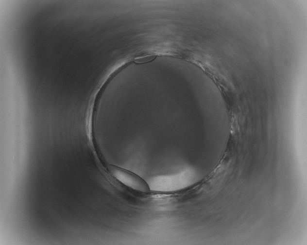 X0000101460052200807281007