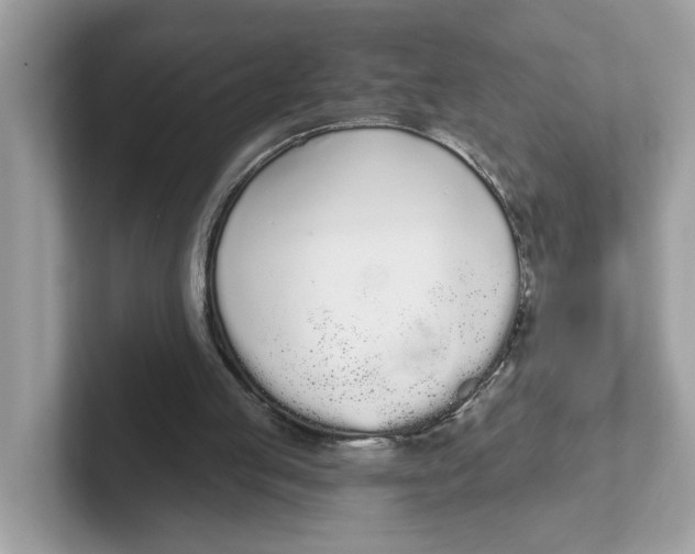 X0000101460053200807281007