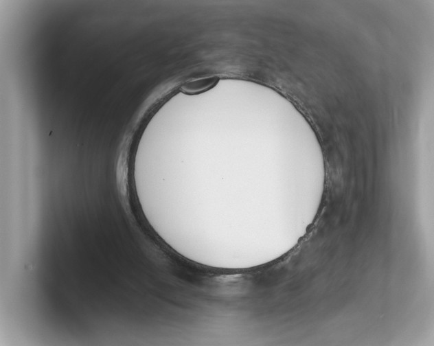 X0000101460054200807281007