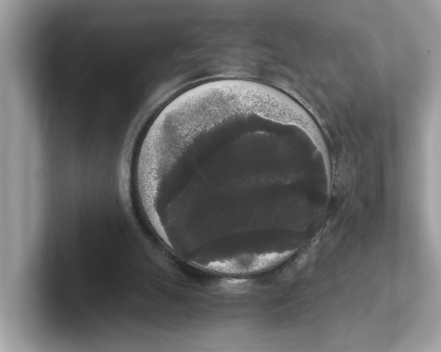 X0000101460055200807281007