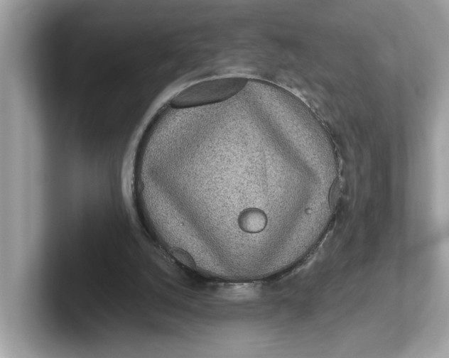 X0000101460056200807281007