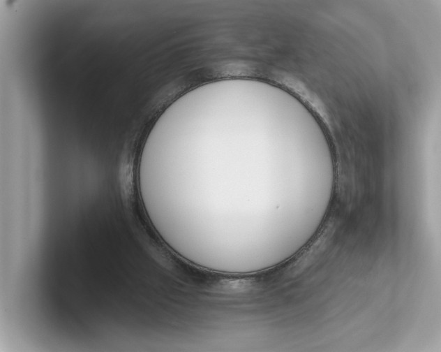 X0000101460057200807281007