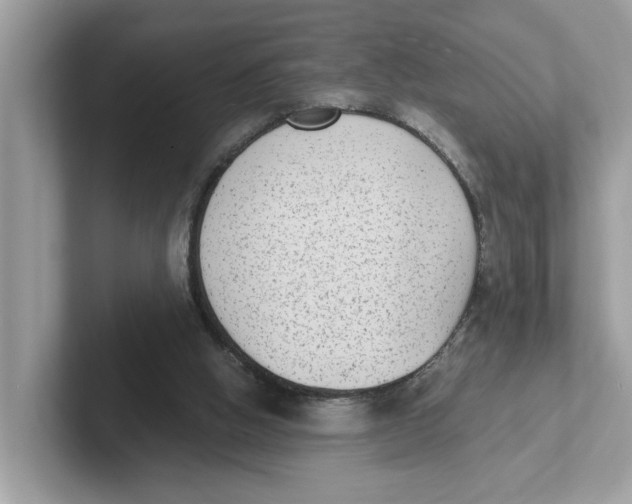 X0000101460058200807281007