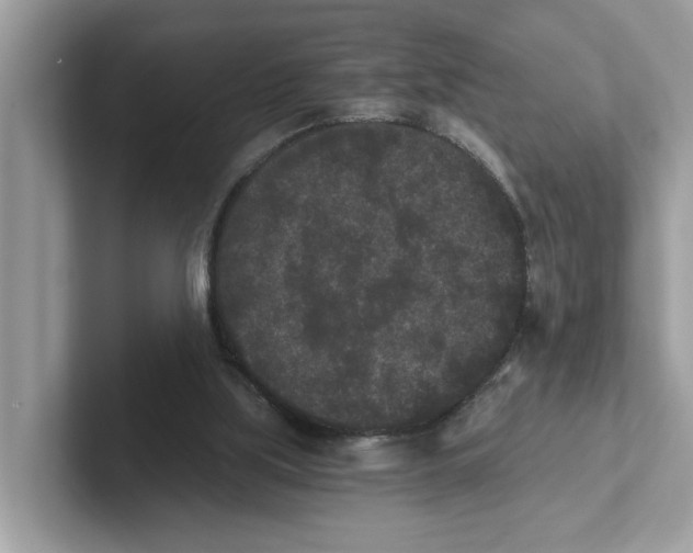 X0000101460059200807281007