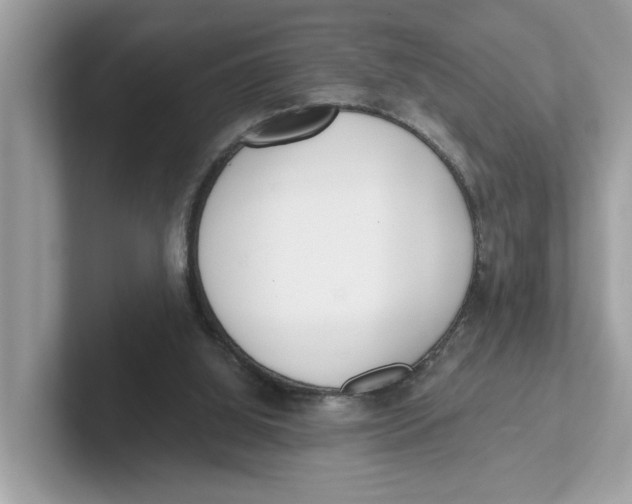 X0000101460060200807281007