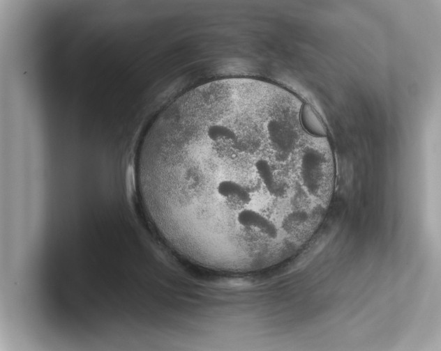 X0000101460061200807281007