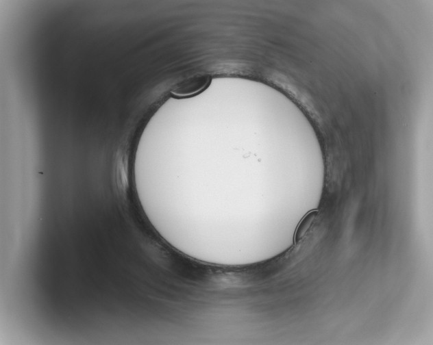 X0000101460062200807281007