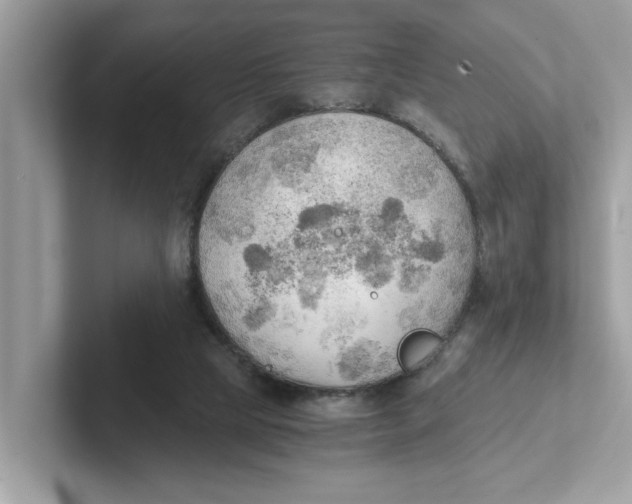 X0000101460065200807281008