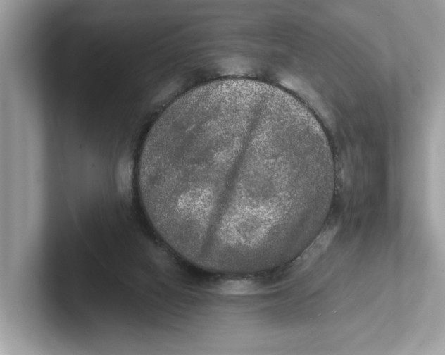 X0000101460066200807281008