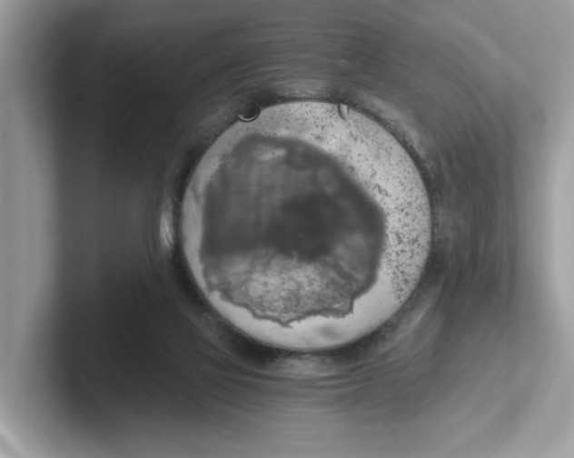 X0000101460069200807281008