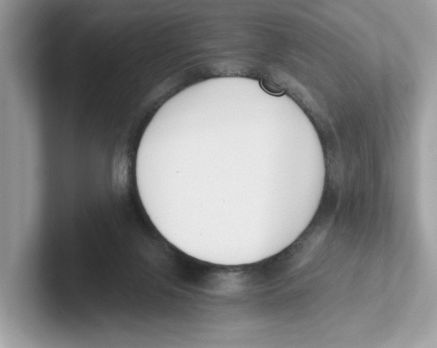 X0000101460071200807281008