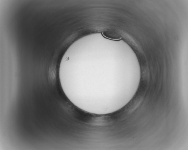 X0000101460072200807281008