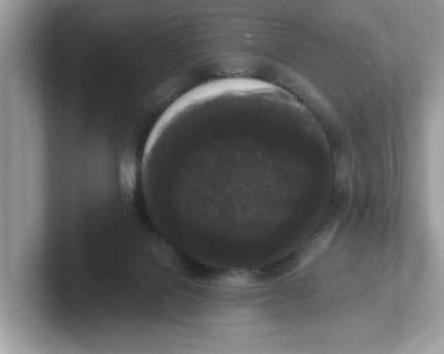 X0000101460076200807281008