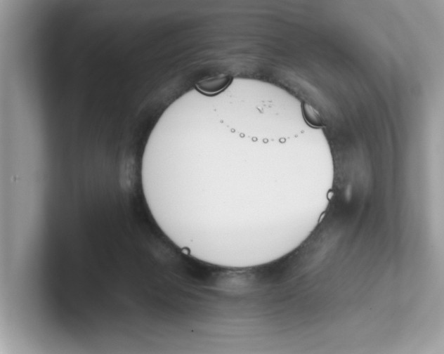 X0000101460077200807281008