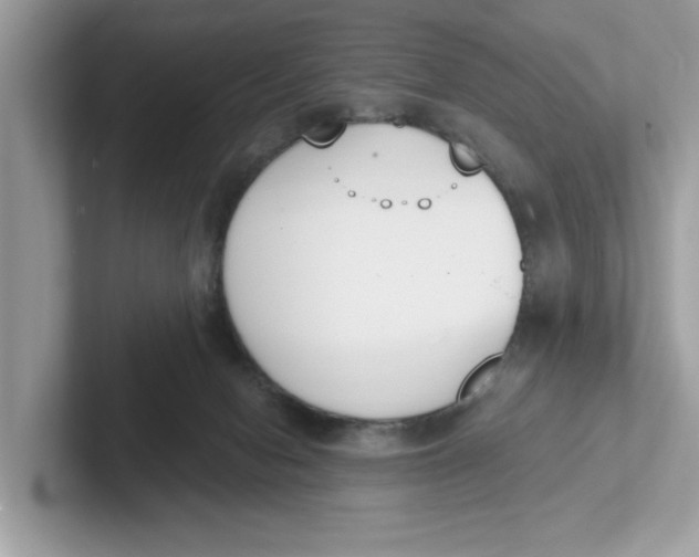 X0000101460078200807281008