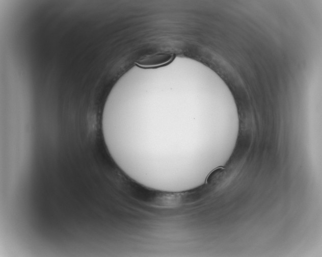 X0000101460084200807281008