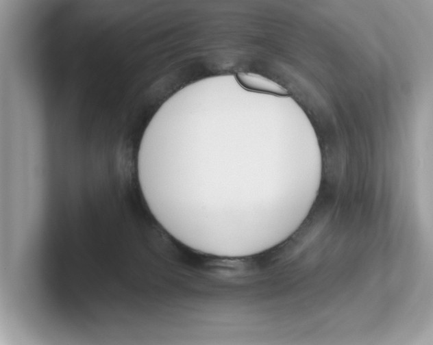 X0000101460085200807281008