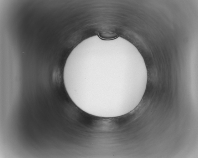 X0000101460086200807281008