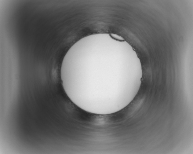 X0000101460088200807281008