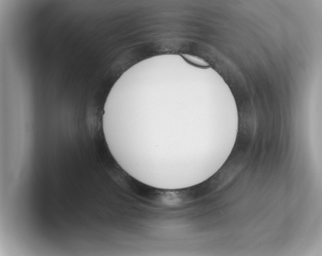 X0000101460091200807281008