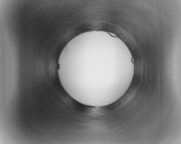 X0000101460092200807281008