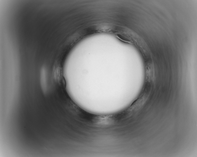 X0000101460093200807281008