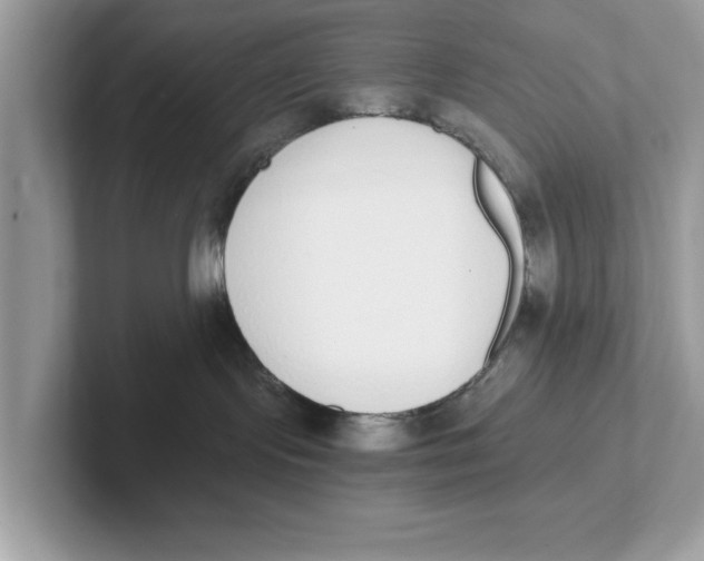 X0000101460095200807281008