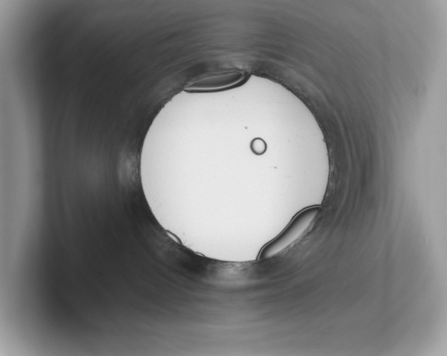 X0000101460096200807281008