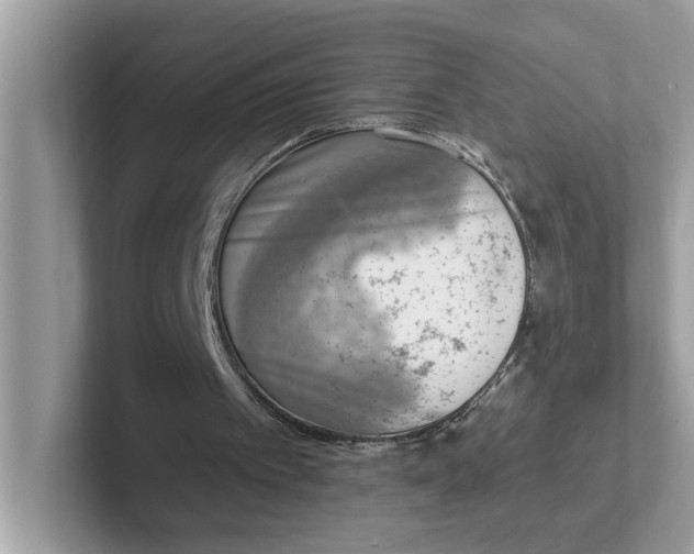 X0000101460097200807281007