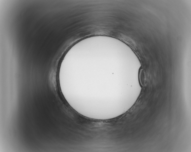 X0000101460098200807281007