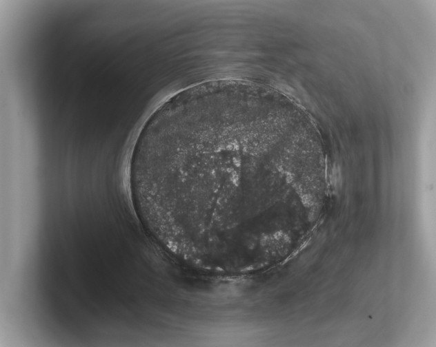 X0000101460099200807281007